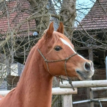 Frühling vor der Tür